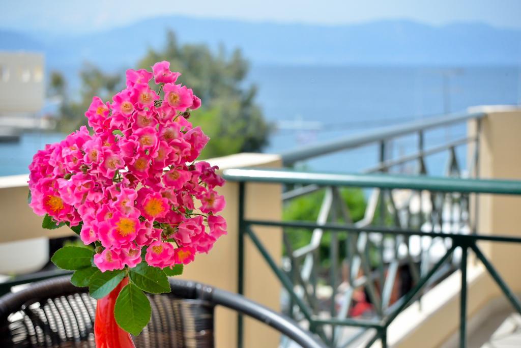 Evia Studios Loutra Edipsou  Chambre photo